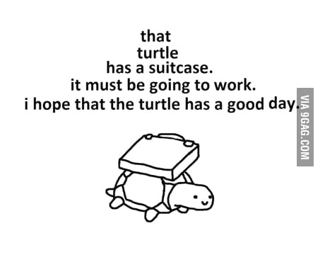 Hello, Mr. Turtle - 9GAG