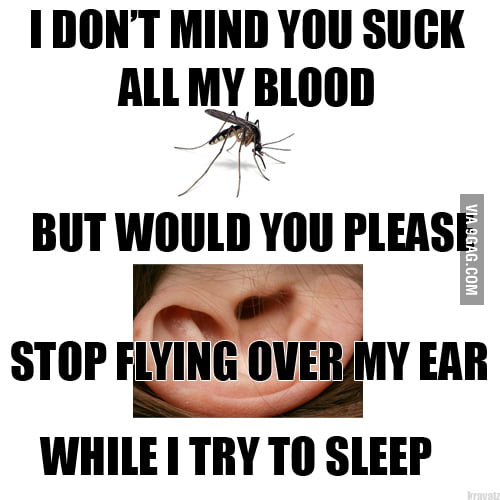 Freaking mosquito won't let me sleep 9GAG
