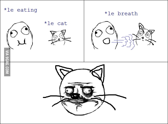 Cat Gusta - 9GAG