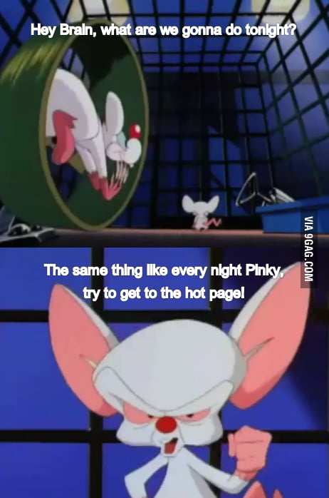 pinky and the brain meme pinky and the brain meme