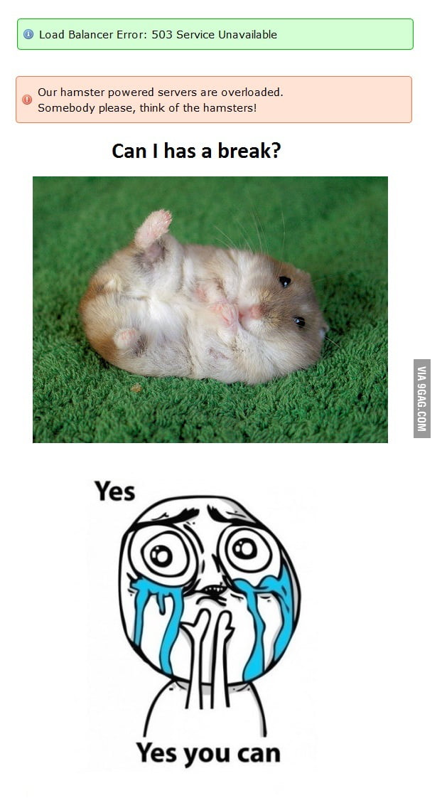 Hamster Power Gag