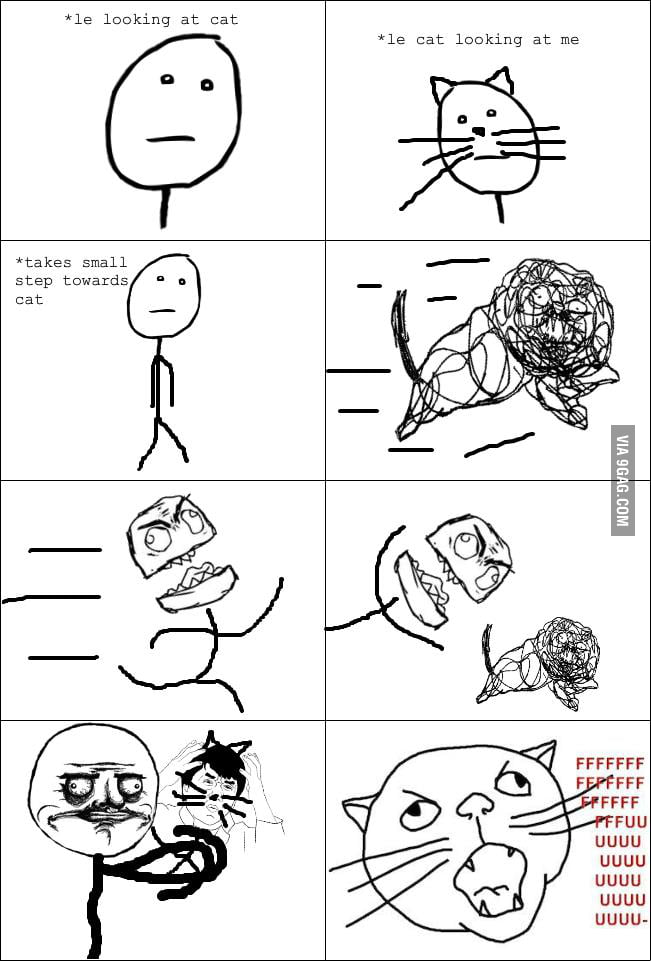 Cat rage comic - 9GAG