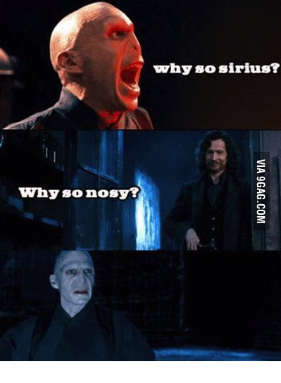 Why so Sirius ? - 9GAG