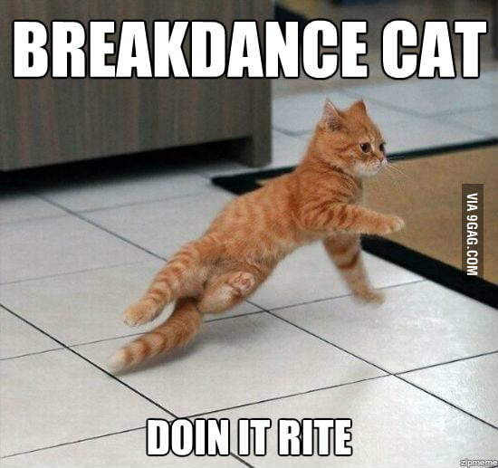 Breakdance cat - 9GAG