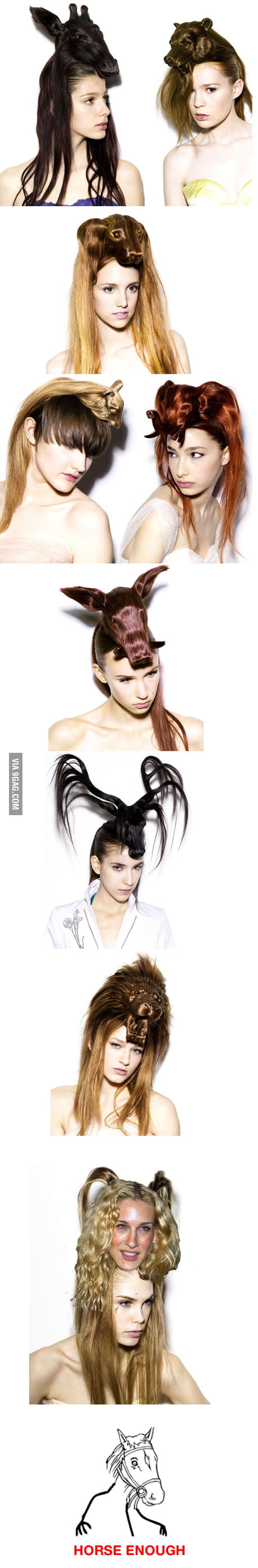 Amazing animal hairstyles - 9GAG