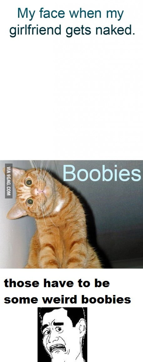 Weird boobs! or what are you looking at cat? - 9GAG