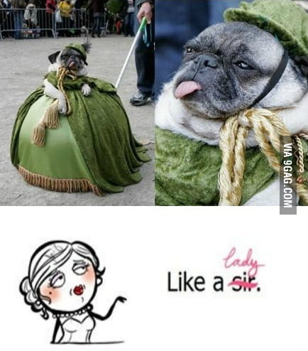 Like a lady - 9GAG