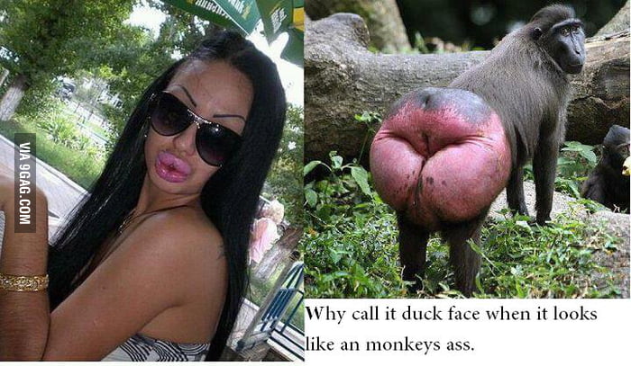 Le Monkey Face - 9GAG