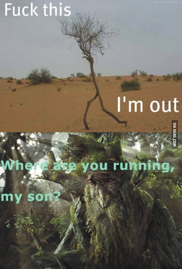 The Running Tree - 9GAG
