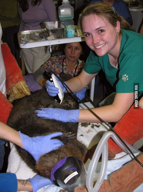 150 points * 1 comments - Cute girl shaving her beaver - 9GAG has the best ...