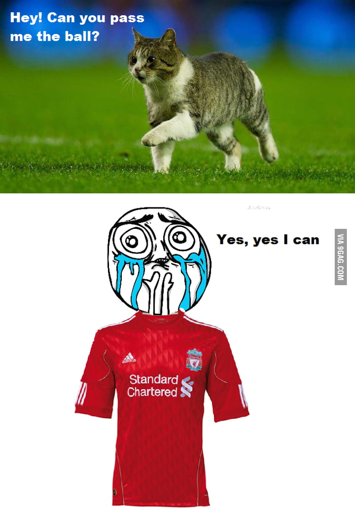 Liverpool cat 9GAG