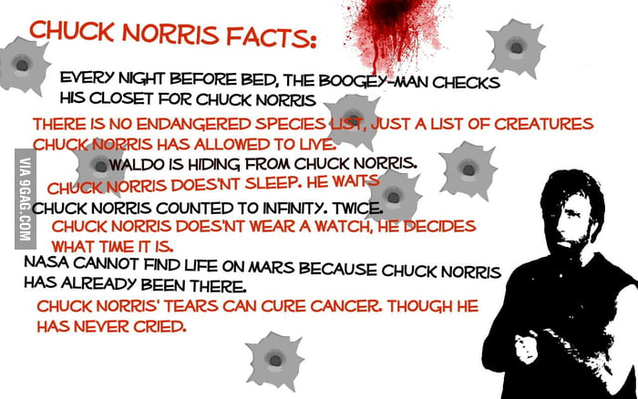 Chuck Norris Facts Chuck Norris Facts