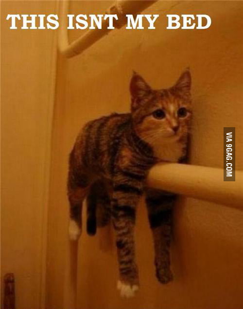What are you doing up there? 9GAG
