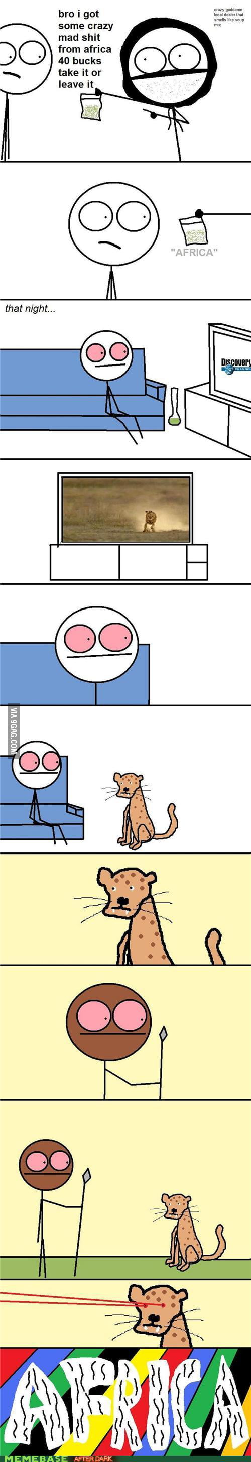 Just a normal day in my house! - 9GAG