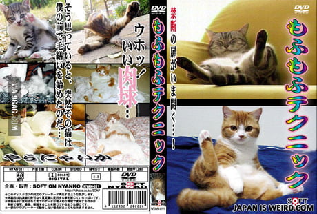 460px x 310px - Japanese Cat porn - 9GAG