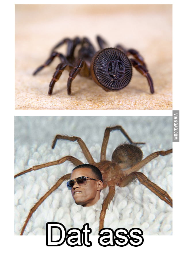 Dat ass - 9GAG