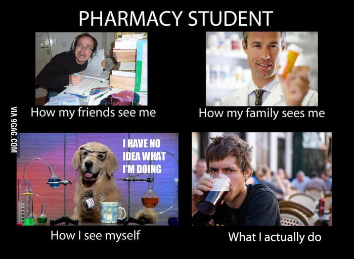 Pharmacy Student 9GAG