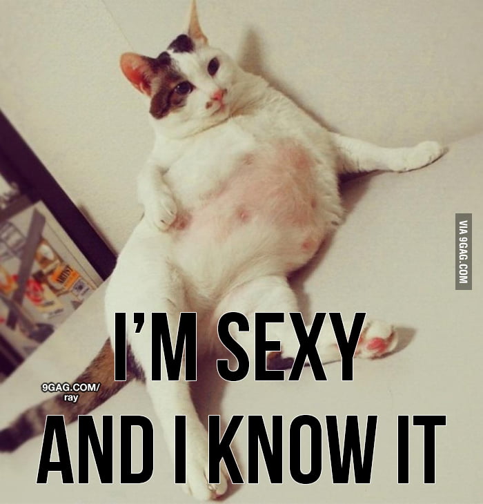 I M Sexy And I Know It 9gag