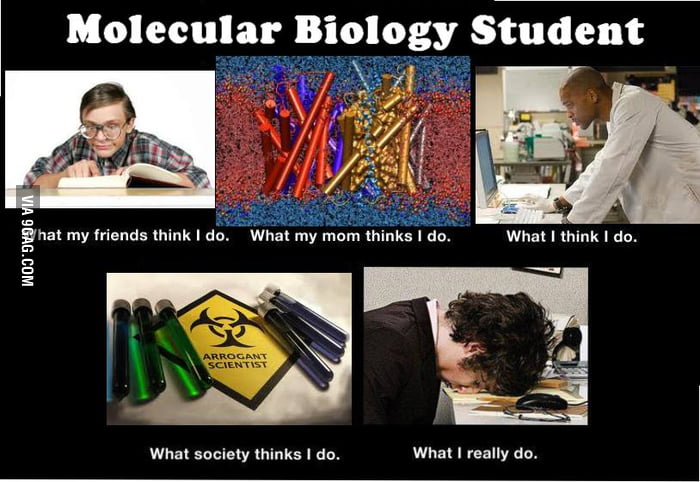 what is molecular biology
