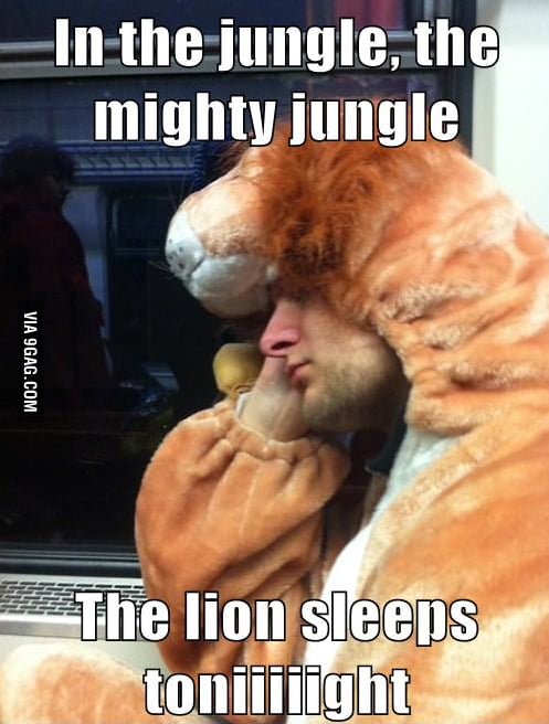 Even the king of the jungle has to rest. - 9GAG