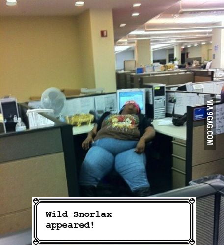 A wild snorlax is blocking the way - 9GAG