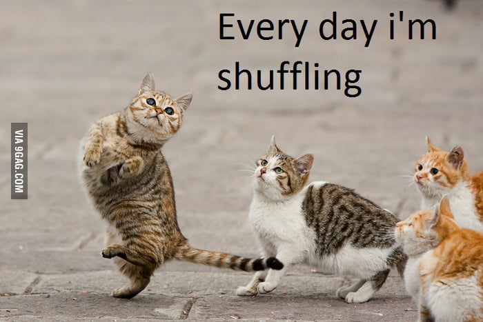 Everyday I'm shuffling - 9GAG