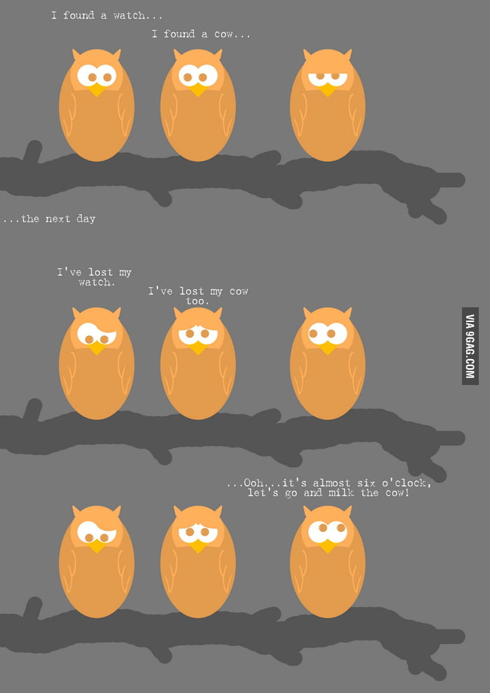 Owls 9gag