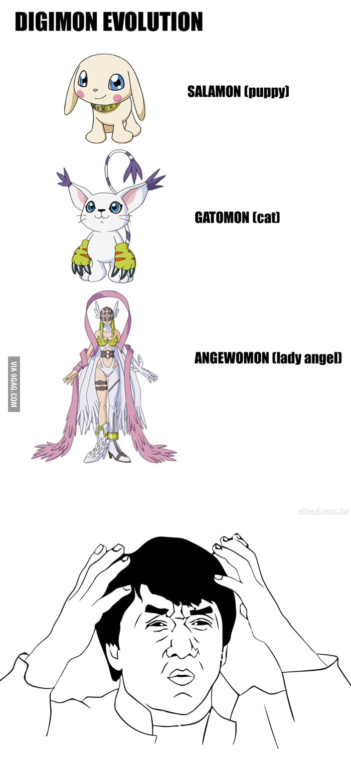 Digimon Evolution Chart Gatomon