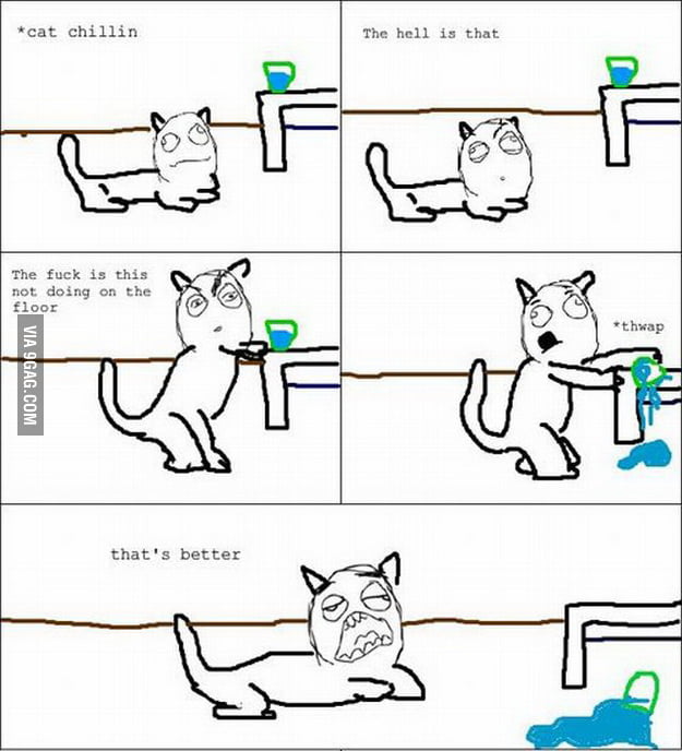 Scumbag Cat - 9gag