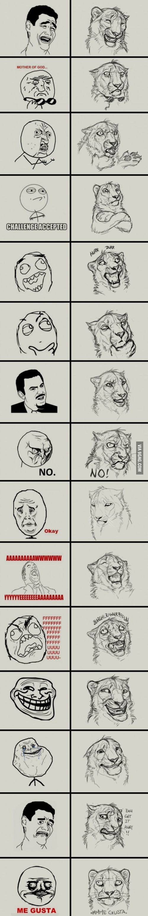 Jungle Memes - 9GAG