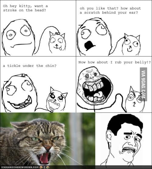 Who Loves Belly Rubs?! - 9GAG