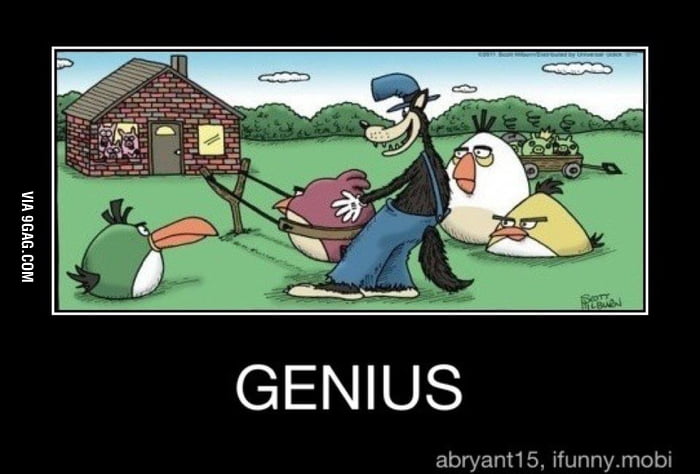 Genius wolf - 9GAG