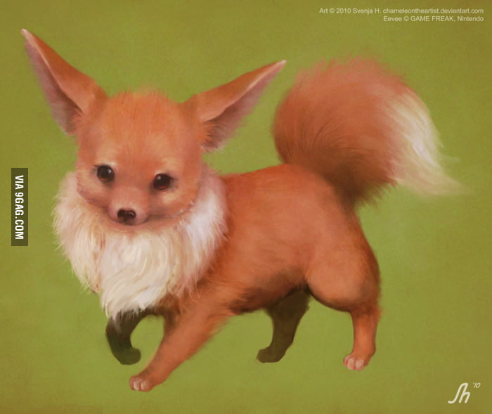 (More Realistic) Eevee 9GAG