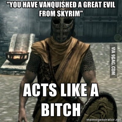 Skyrim Guards logic - 9GAG