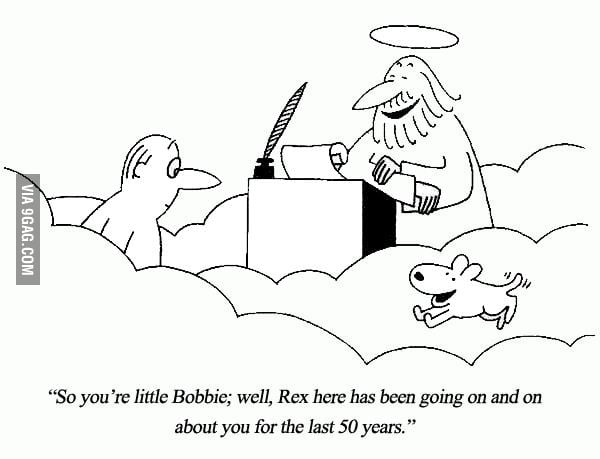 Dogs : also loyal after death