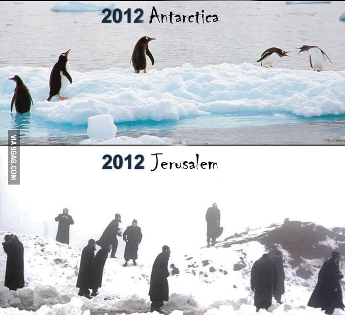 Evolution - 9GAG