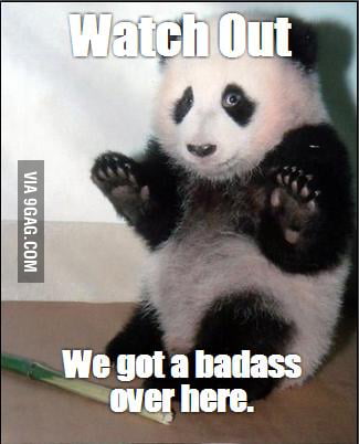 Badass Panda - 9GAG