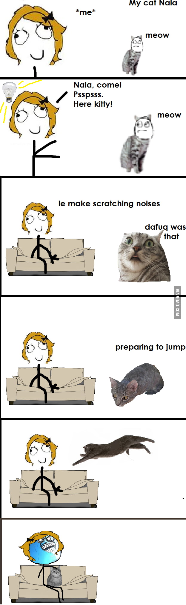 My cat keeps falling for this. 9GAG