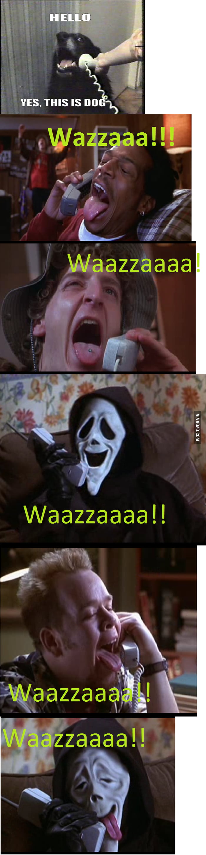 Yes This Is Wazzaaa 9gag Yes This Is Wazzaaa 9gag