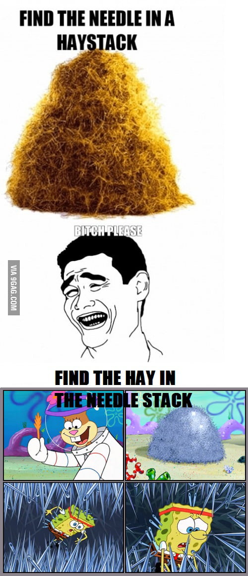 Needle in a Hay Stack? B*tch Please! - 9GAG