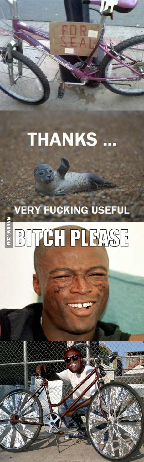 Seal stole my bike - 9GAG