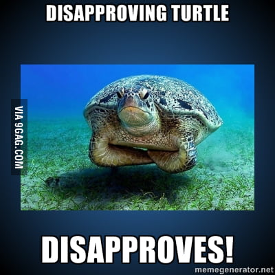 Disapproving turtle - 9GAG