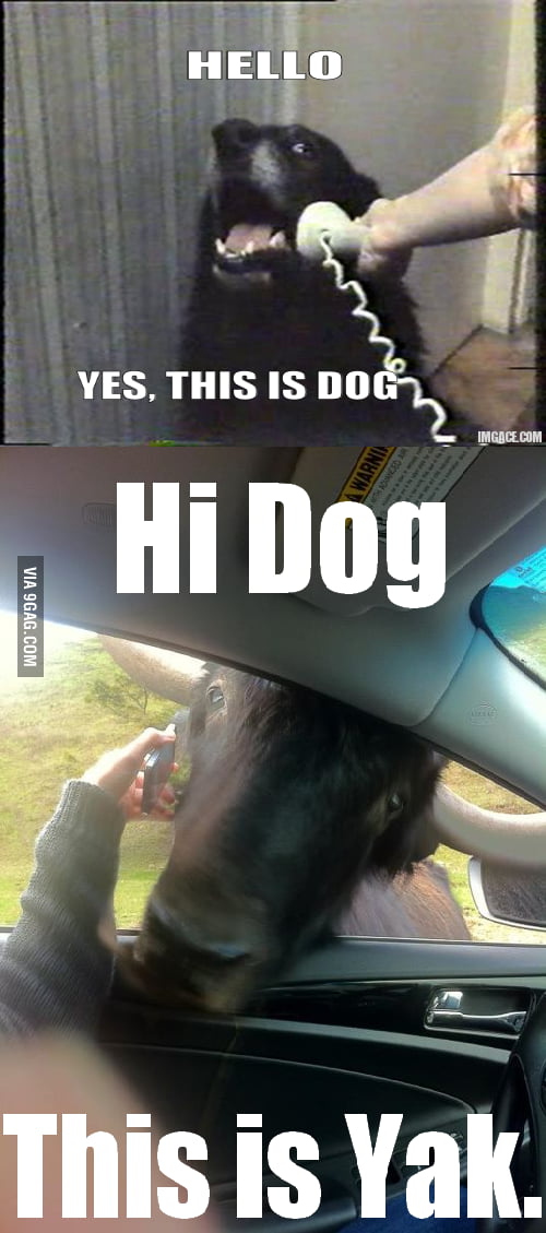 New Friend 9gag