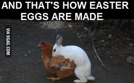 Easter Eggs - 9GAG