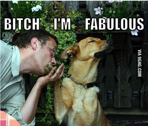 B*tch I'm Fabulous.. - 9GAG