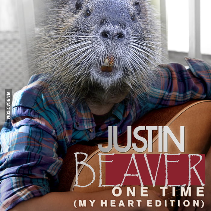 Justin Beaver 9GAG