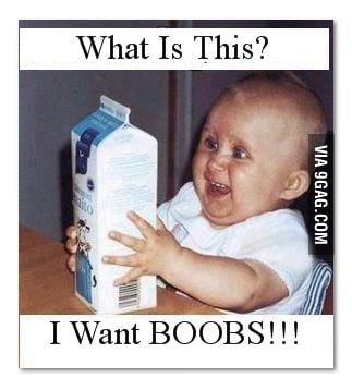 I Want Boobies! - 9gag