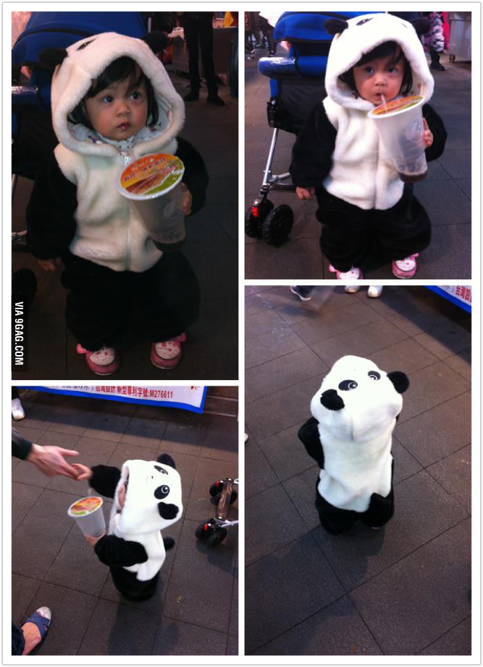 Cutest Thing Ever 9GAG