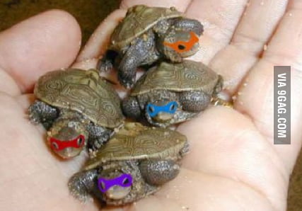 Ninja Turtles - 9GAG