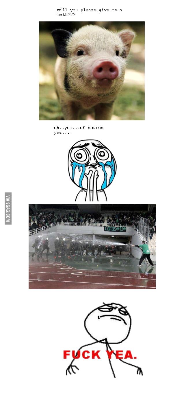 The worldwide meaning of pigs.... - 9GAG